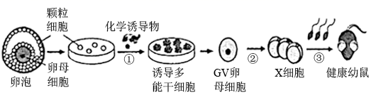 图片_x0020_100010