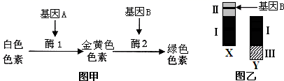 图片_x0020_100006