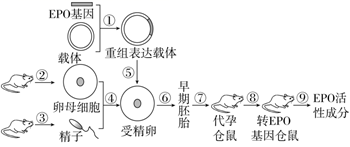 图片_x0020_100014