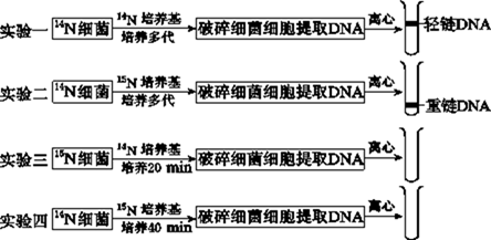 图片_x0020_100021
