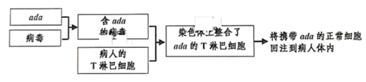 图片_x0020_100010