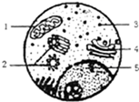 图片_x0020_100020
