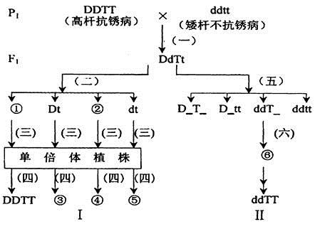 图片_x0020_100005