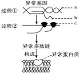 图片_x0020_100002