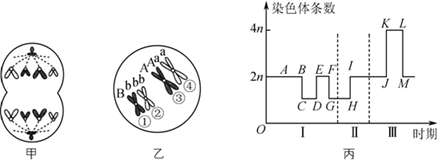 图片_x0020_100015