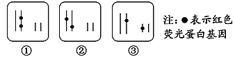 图片_x0020_100007