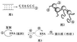 图片_x0020_100002