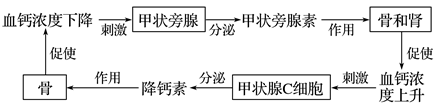 图片_x0020_100006