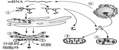 图片_x0020_100017