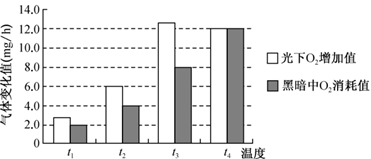 图片_x0020_1426285401