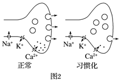 图片_x0020_100019