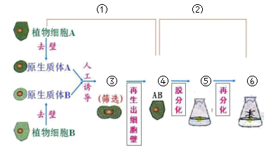 图片_x0020_100004