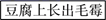图片_x0020_100002