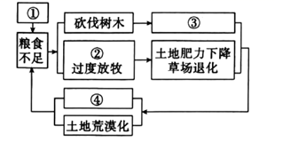 图片_x0020_100014