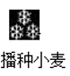 图片_x0020_100003