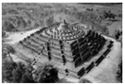 图片_x0020_1731673318