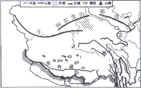 图片_x0020_100012