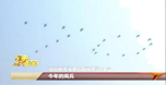 图片_x0020_144057397
