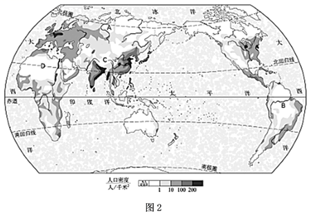 图片_x0020_100013