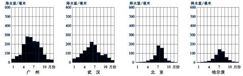 图片_x0020_100022