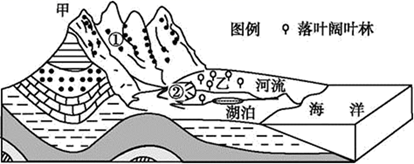 图片_x0020_100021
