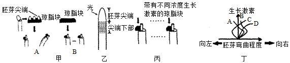 _x0000_i1026