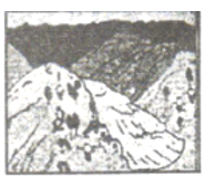 图片_x0020_100013