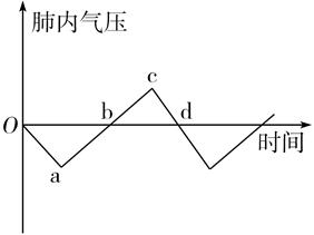 _x0000_i1026