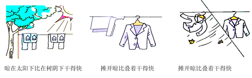 图片_x0020_100027