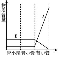 _x0000_i1036