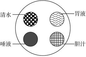 _x0000_i1027