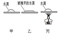 图片_x0020_743086481