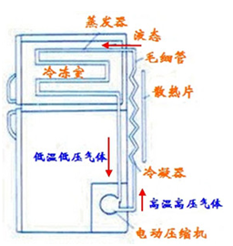 图片_x0020_967646451