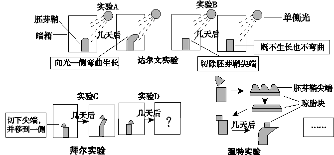 图片_x0020_8