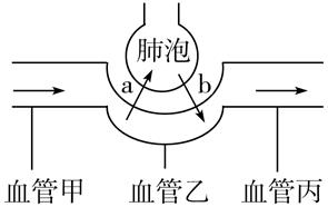 _x0000_i1027