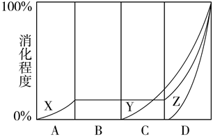 _x0000_i1025