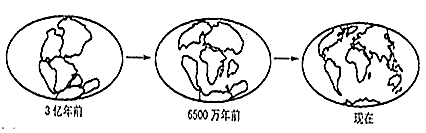 图片_x0020_100001