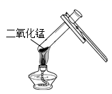 图片_x0020_256055205