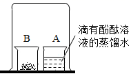 图片_x0020_1304318156