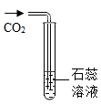 图片_x0020_100004