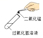 图片_x0020_100009