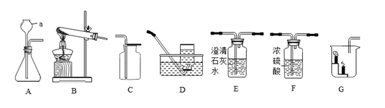 图片_x0020_1574000582