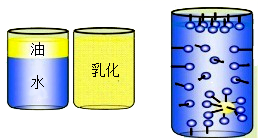 图片_x0020_2051072094