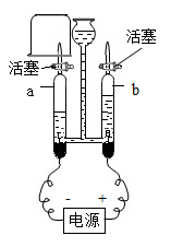 图片_x0020_100005