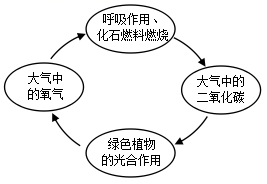 图片_x0020_940304233