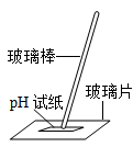 图片_x0020_100004