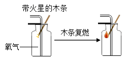 图片_x0020_244383202