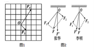 图片_x0020_1489085355