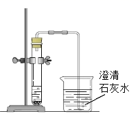 图片_x0020_100017
