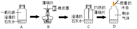 图片_x0020_545174824